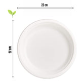 50 PIATTI PIANI DA 22 CM